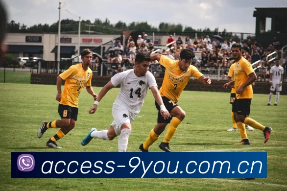 App Interface Preview