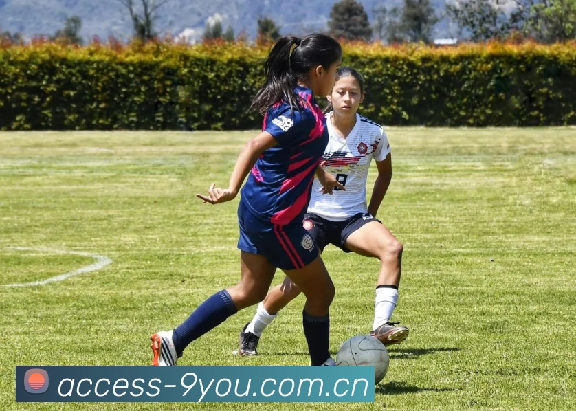 九游体育APP 封面图